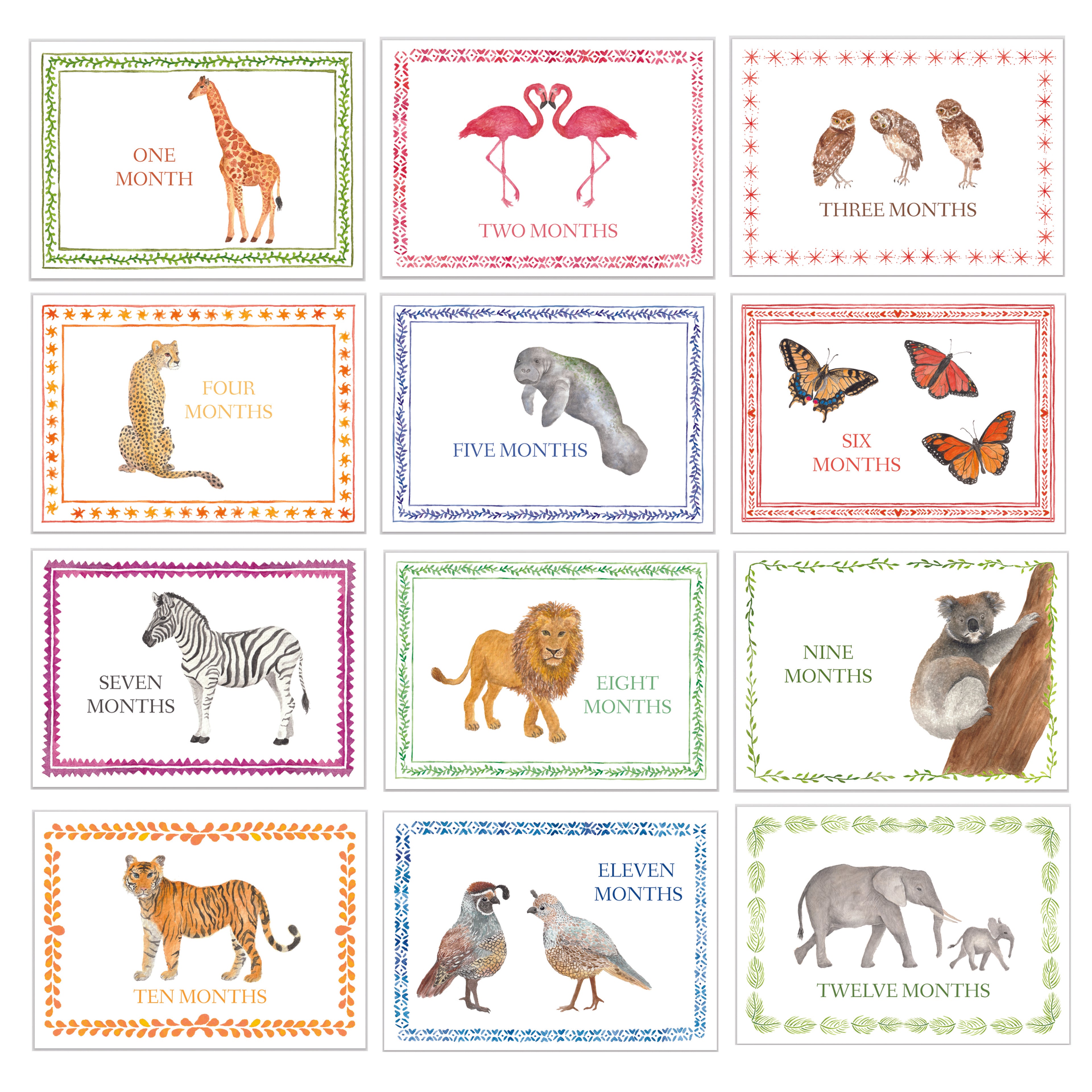 Baby Monthly Milestones